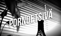 Pornoetsivä